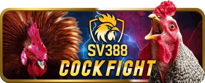 Câu hỏi thường gặp về K88CC Code